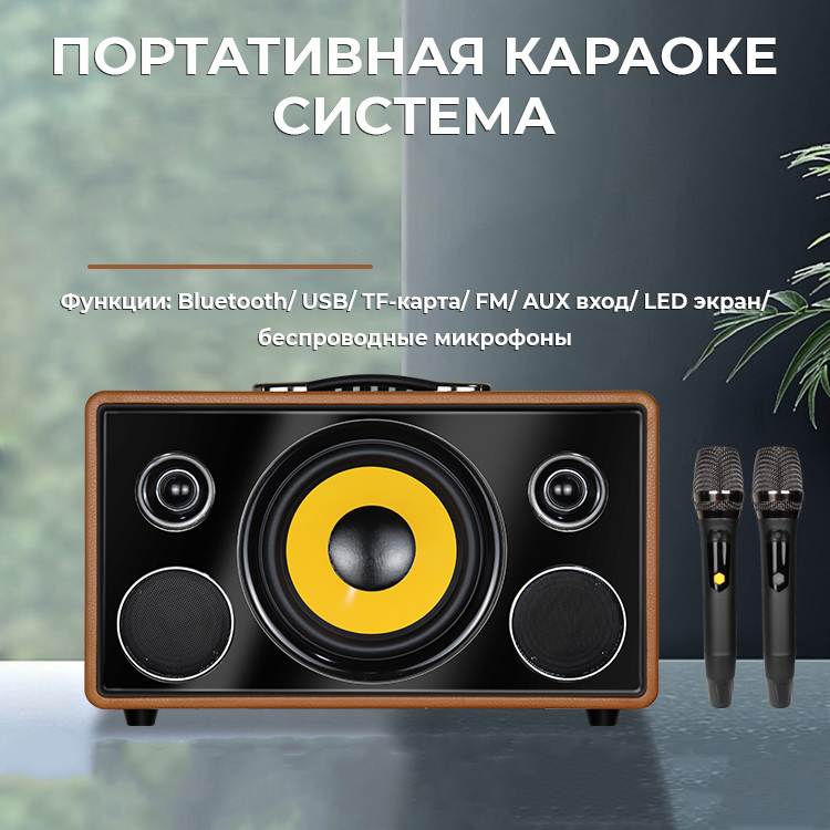 NOIR-audio MAX-300 BROWN акустическая система с двумя беспроводными микрофонами
