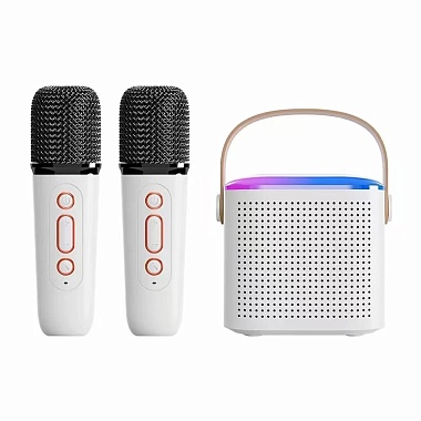 NOIR-audio MK-2 акустическая система 5 Ватт с двумя беспроводными микрофонами