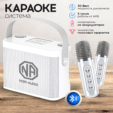 NOIR-audio K-5 акустическая система 30 Ватт с двумя беспроводными микрофонами